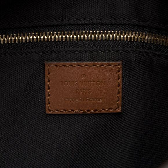 Louis Vuitton Reverse Monogram Dauphine PM Hobo - Picture 8 of 16